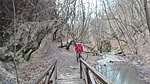 IMG_20170306_163529