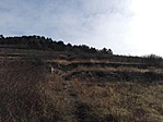 IMG_20170304_103634