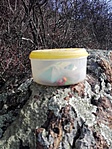 IMG_20170304_110140