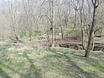 IMG_20170325_113739