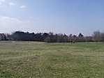 IMG_20170325_121451