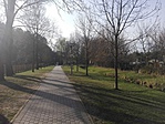 IMG_20170325_153808