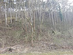 IMG_20170325_154507