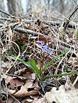 IMG_20170315_154034[1]