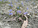IMG_20170315_151034[1]