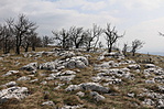 köves mező