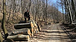 IMG_20170326_114756[1]