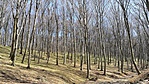 IMG_20170326_115800[1]