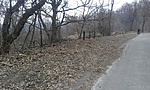 20170315_115037