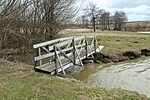 IMG_5981