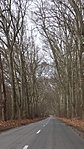 20170302_131915
