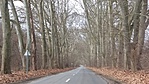 20170302_131911 (2)