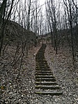 IMG_20170315_170421