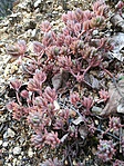 IMG_20170315_170821