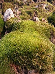 20170321_170820