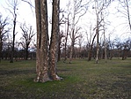 20170320_173808