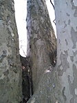20170320_173840