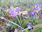 20170324_171352