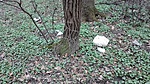IMG_20170319_170039