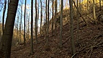 WP_20170311_15_23_52_Rich
