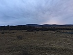 IMG_7596