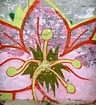 SAM_0852