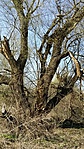 GCHMPI_20170321143432.jpg