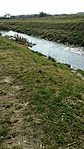 GCHOPP_20170322142429.jpg