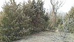 GCBoro_20170322170202.jpg