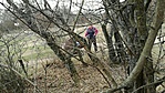 GCange_20170315130801.jpg