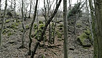 GCPava_20170315141610.jpg