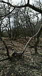 GCPava_20170315150043.jpg