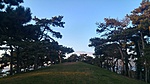 20170311_172151_HDR