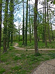 GCKOND_20170417145142.jpg