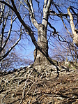 P3280032