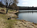 3123. Fehér úti tó SOPRON (4)