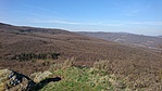 GCKPSZ_2017041164908.jpg