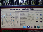 IMG_20170414_123901