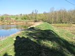 IMG_9775
