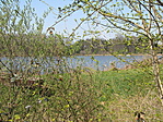 IMG_9796