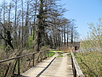 IMG_9797