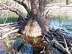 20170402_164907