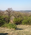 geo1