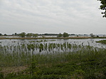 P4220018