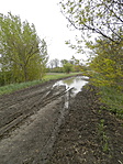 P4220211