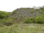 P4290028