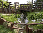 P4300003