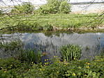 P4300004