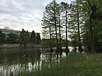 IMG_1266