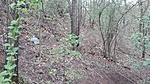 IMG_20170409_135233